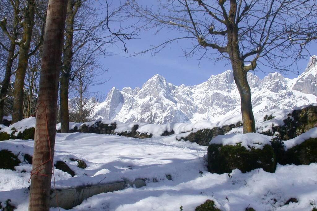 Aire De Montana - Estupendas Vistas A Los Picos Baro  외부 사진